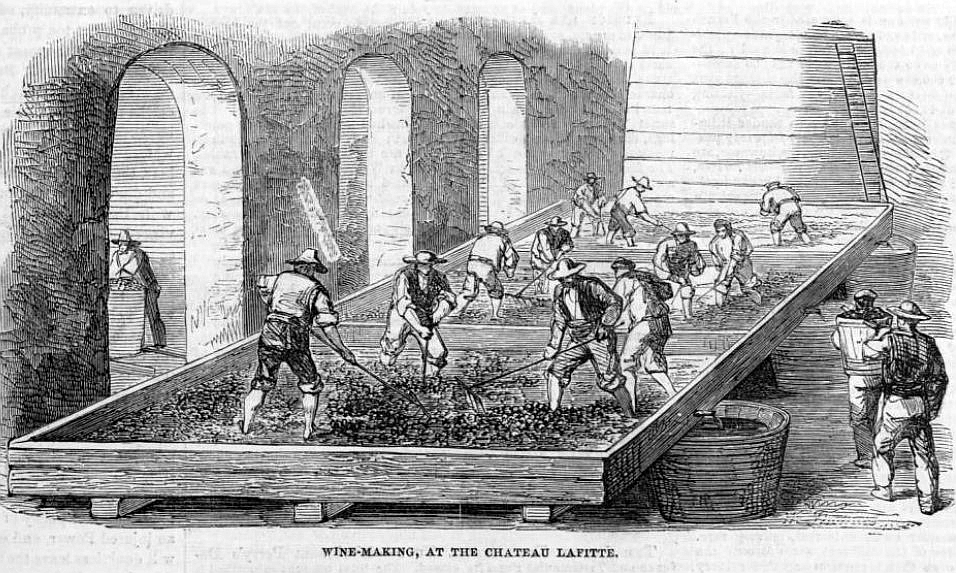 Wine making